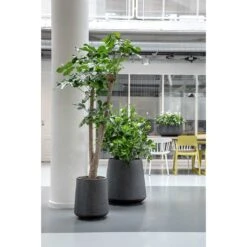 Raindrop Tube High Round Planter - Anthracite -Indoor Plant Store Raindrop Tube High Round Planters Anthracite