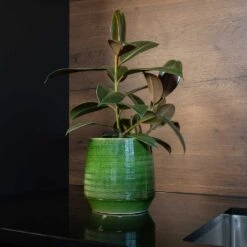 Remi Plant Pot - Green 27 Remi Plant Pot - Green -Indoor Plant Store Remi green 02