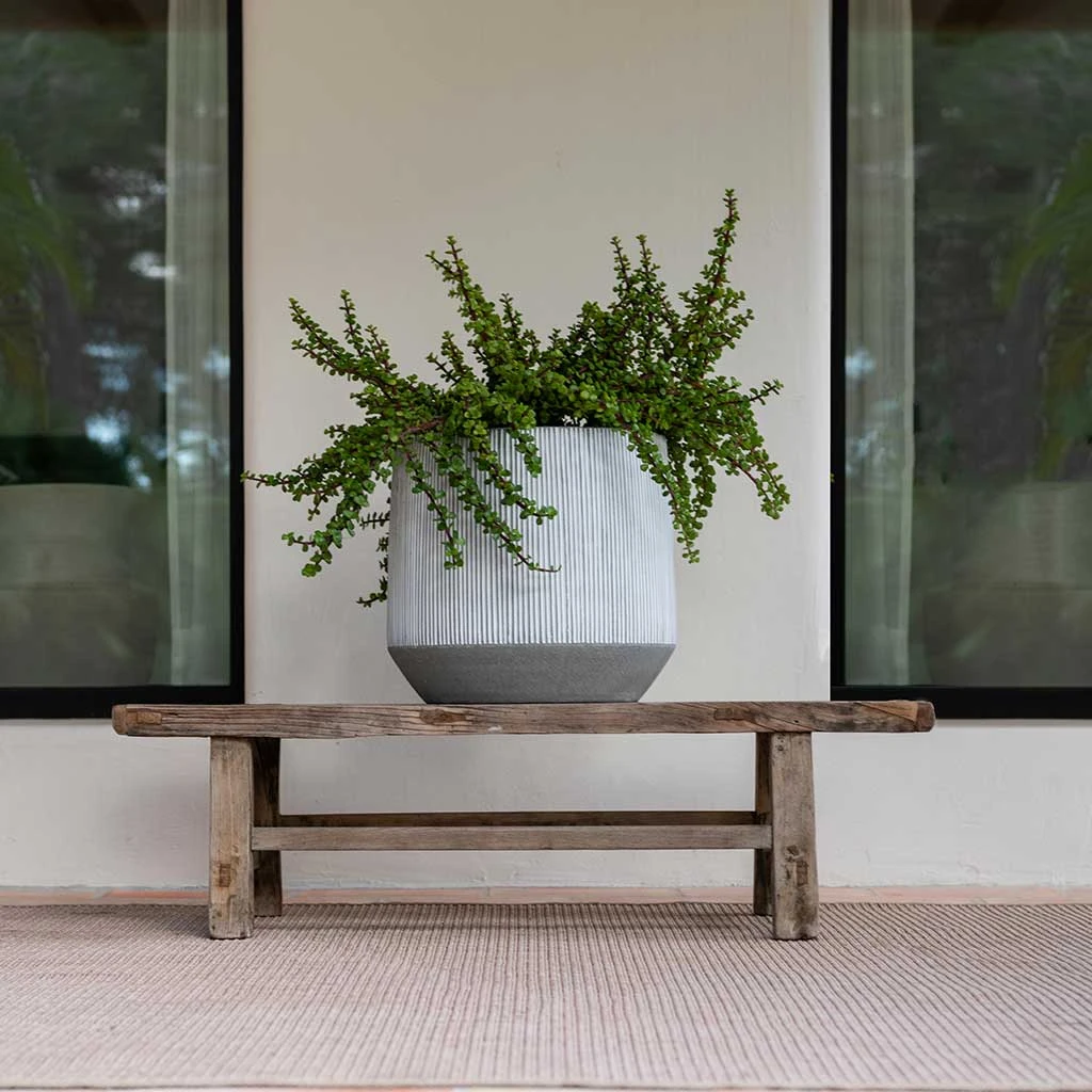 Harith Plant Pot - Ridged White Stripe 2 Harith Plant Pot - Ridged White Stripe - Image 2