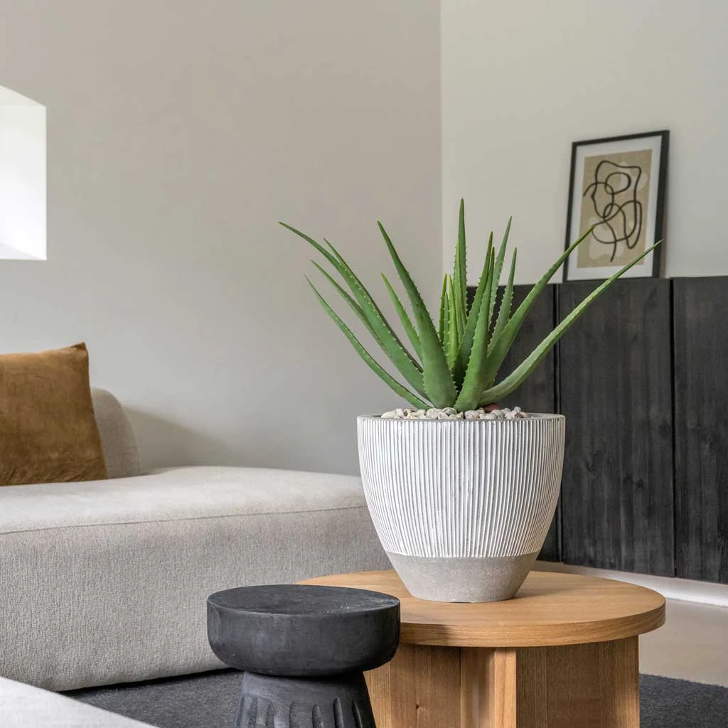 Jesslyn Plant Pot - Ridged White Stripe 2 Jesslyn Plant Pot - Ridged White Stripe - Image 2