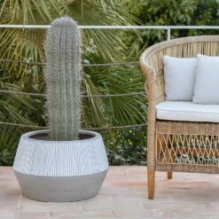 Low Harley Plant Pot - Ridged White Stripe -Indoor Plant Store Ridged Low Harley Plant Pot White Stripe Lifestyle