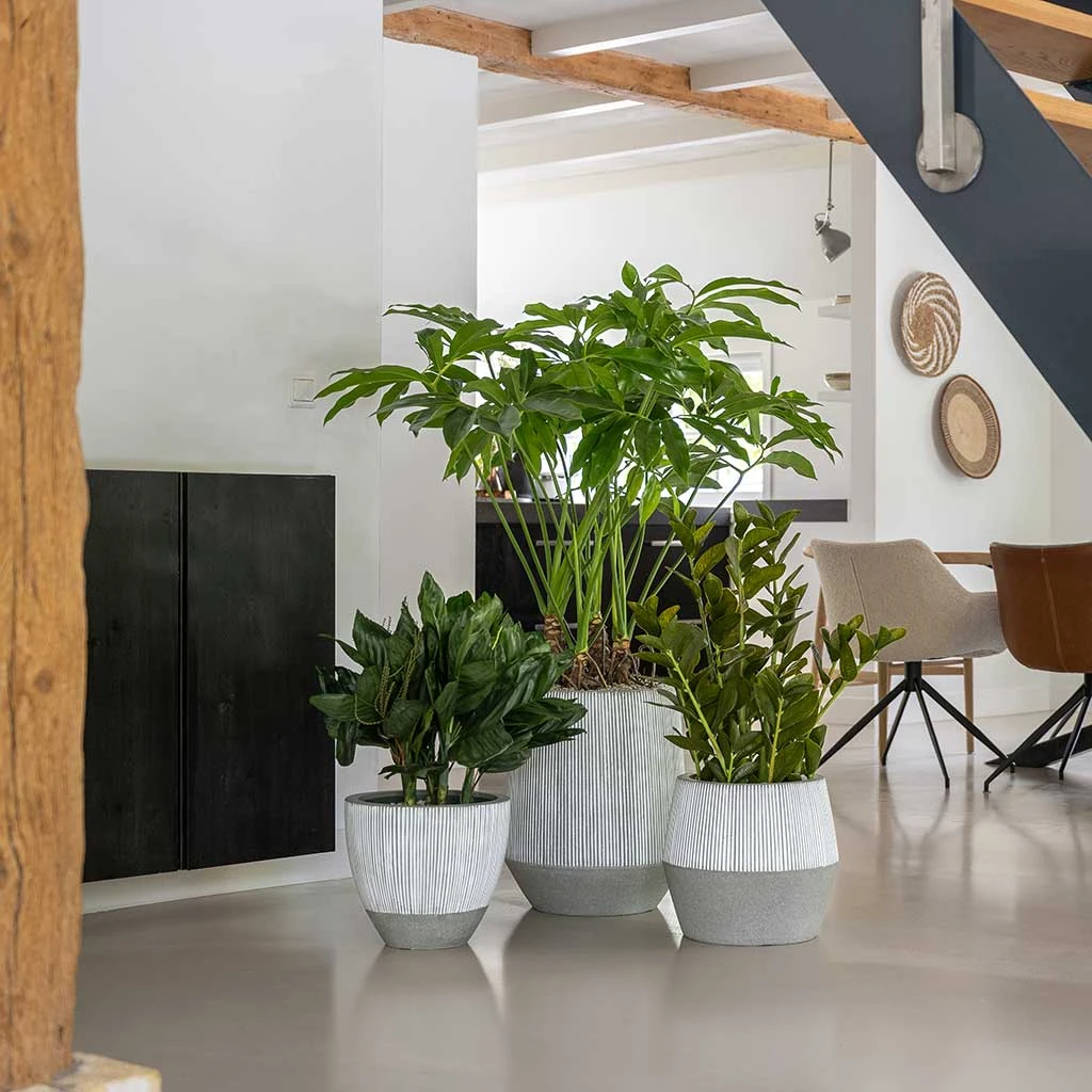 Tall Harith Plant Pot - Ridged White Stripe 4 Tall Harith Plant Pot - Ridged White Stripe - Image 4