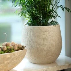 Ryan Plant Pot - Sand Gold 28 Ryan Plant Pot - Sand Gold -Indoor Plant Store Ryan Plant Pot Sand Gold Parlour Palm