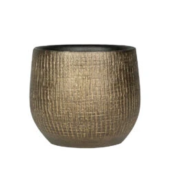 Ryan Plant Pot - Shiny Gold 29 Ryan Plant Pot - Shiny Gold -Indoor Plant Store Ryan Plant Pot Shiny Gold 15cm