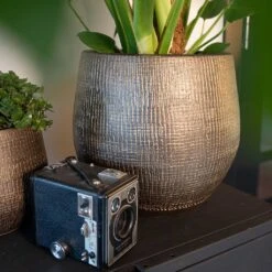 Ryan Plant Pot - Shiny Gold 22 Ryan Plant Pot - Shiny Gold -Indoor Plant Store Ryan Plant Pot Shiny Gold Lifestyle 02