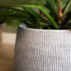Ryan Plant Pot - White Black -Indoor Plant Store Ryan Plant Pot White Black Close Up