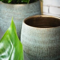 Ryan Plant Pot - Blue Gold 21 Ryan Plant Pot - Blue Gold -Indoor Plant Store RyanPlantPot BlueGold 3 min