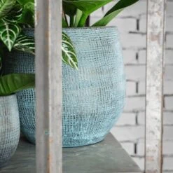 Ryan Plant Pot - Blue Gold 23 Ryan Plant Pot - Blue Gold -Indoor Plant Store RyanPlantPot BlueGold 4 min