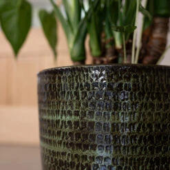 Sanna Plant Pot - Moss Green -Indoor Plant Store Sanna Moss Green 2
