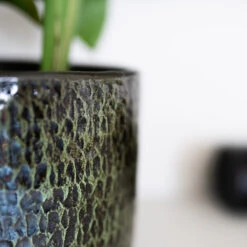 Sanna Plant Pot - Moss Green -Indoor Plant Store Sanna Moss Green 5