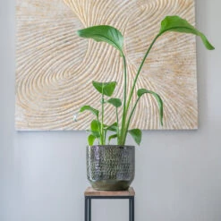 Sanna Plant Pot - Moss Green -Indoor Plant Store Sanna Moss Green 7