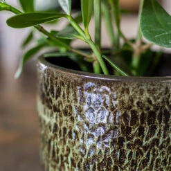 Sanna Plant Pot - Moss Green -Indoor Plant Store Sanna Moss Green 9