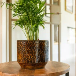 Sanna Plant Pot - Savanna 27 Sanna Plant Pot - Savanna -Indoor Plant Store Sanna Savana 4