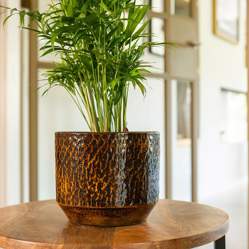 Sanna Plant Pot - Savanna 10 Sanna Plant Pot - Savanna - Image 10