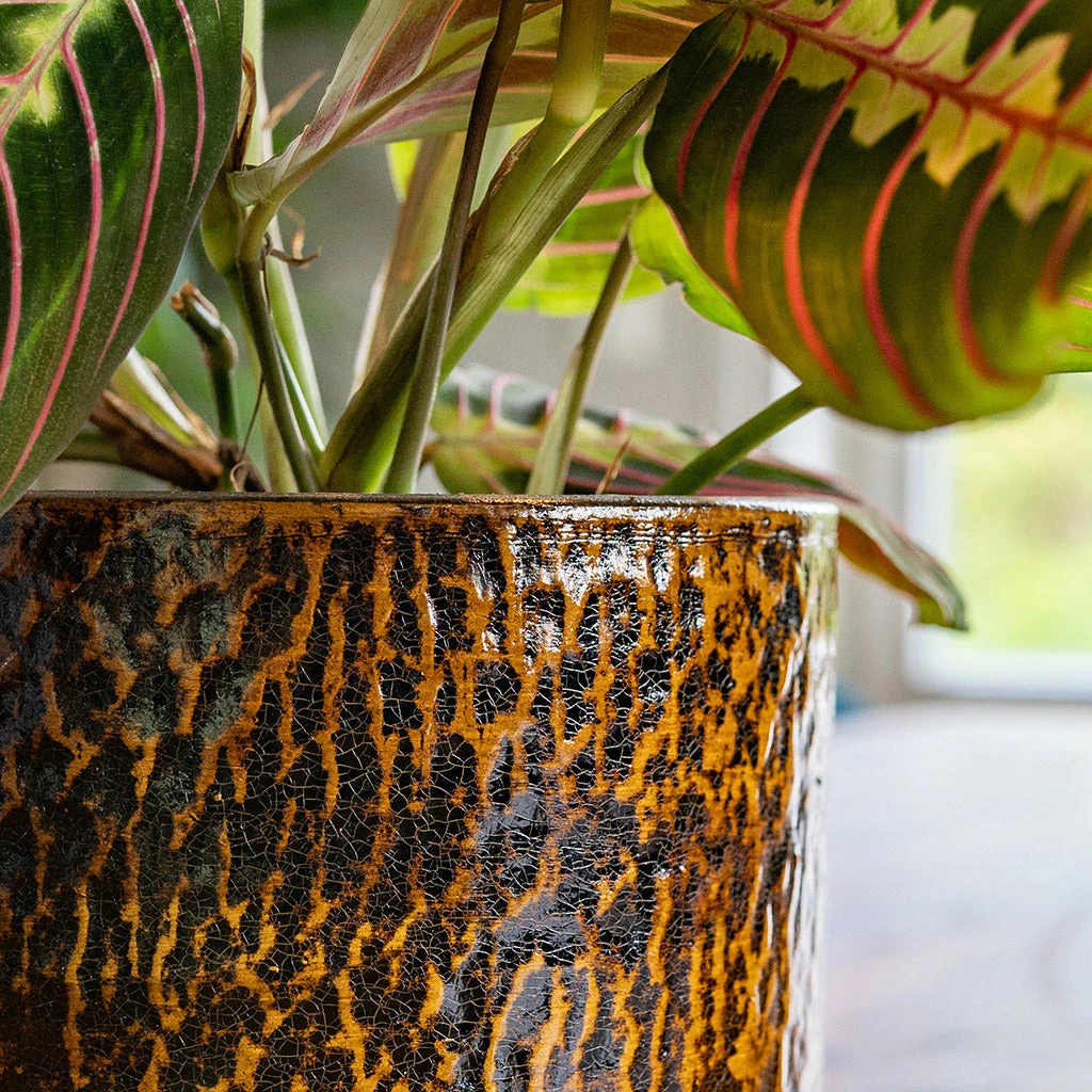 Sanna Plant Pot - Savanna 12 Sanna Plant Pot - Savanna - Image 12