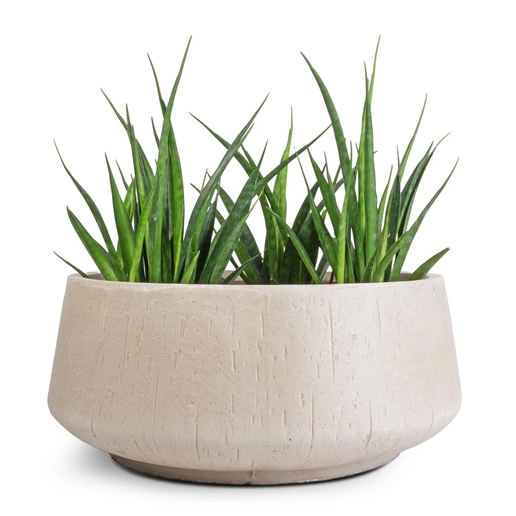 Raindrop Bowl Planter - Stone 2 Raindrop Bowl Planter - Stone - Image 2