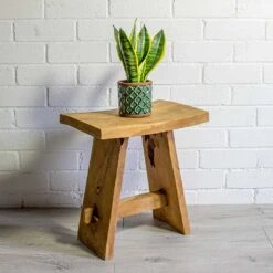 Sansevieria Trifasciata Futura Superba -Indoor Plant Store Sansevieria trifasciata Futura Superba liam turquoise plant pot natural