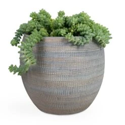 Dex Plant Pot - Earth -Indoor Plant Store Sedum Burrito Donkey Tail 14x20cm Dex Plant Pot Earth 22x20cm