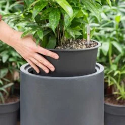 Solid Cylinder Planter - Dark Grey -Indoor Plant Store Solid Cylinder Planter Dark Grey 1