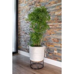 Stefan Plant Baskets - Set Of 3 - Natural -Indoor Plant Store Stefan Plant Basket Natural Indoor Tree