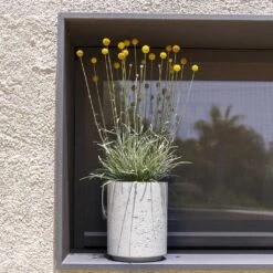 Suzi Plant Pot - Grey Washed -Indoor Plant Store Suzi Plant Pot Grey Washed Outdoor Plants