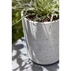 Suzi Plant Pot - Grey Washed -Indoor Plant Store Suzi Plant Pots Grey Washed Close Up