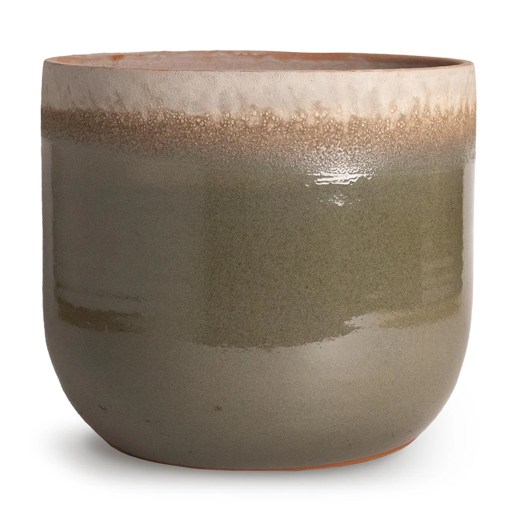 Tarra Plant Pot - Forest 10 Tarra Plant Pot - Forest - Image 10