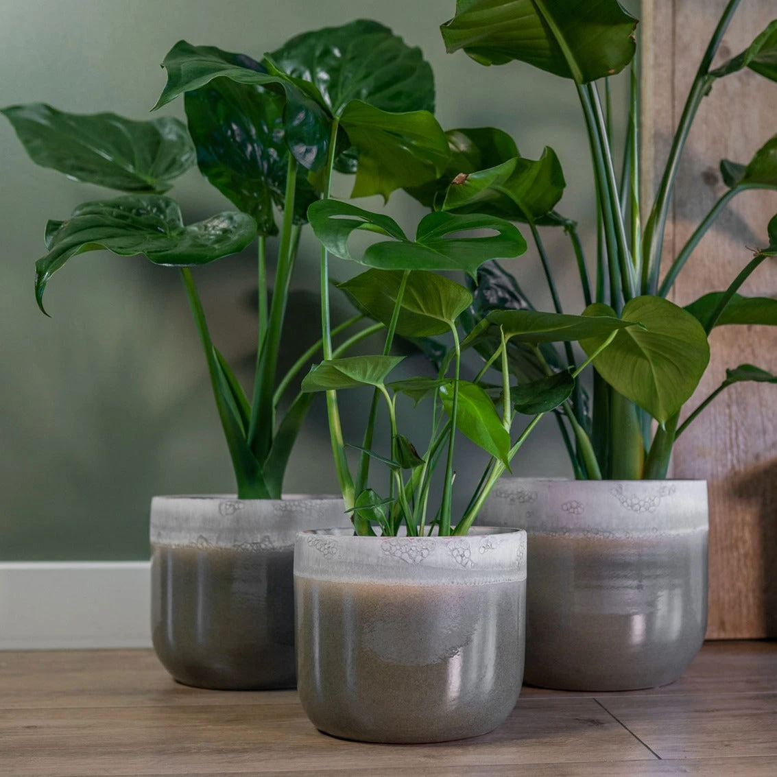 Tarra Plant Pot - Forest 7 Tarra Plant Pot - Forest - Image 7