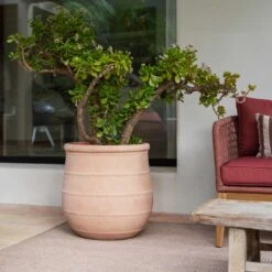 Treasure Nika Planter - Brick Orange -Indoor Plant Store Treasure Nika Planter Brick Orange Lifestyle1