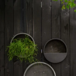 Wally Natural Wall Planter - Black 9 Wally Natural Wall Planter - Black -Indoor Plant Store WallyNaturalWallPlanter Black 4