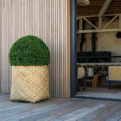 Zayn Bamboo Planter -Indoor Plant Store Zayn Bamboo Planter Box Hedge