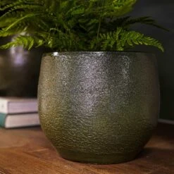 Zembla Plant Pot - Green 29 Zembla Plant Pot - Green -Indoor Plant Store Zembla Plant Pot Collection Fern
