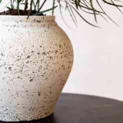 Zeus Mediterranean Planter - Chalk White -Indoor Plant Store Zeus Mediterranean Planter Chalk White Lifestyle