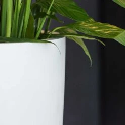Ben Essentials Planter - Matt White -Indoor Plant Store ben indoor planter essential matte white close up