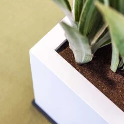 Block Essentials Planter - Matt White -Indoor Plant Store block planter essential matte white edge