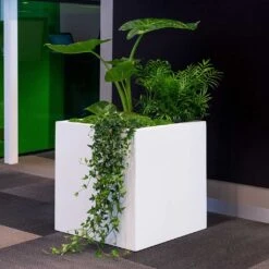 Block Essentials Planter - Matt White -Indoor Plant Store block planter essential matte white indoor plants