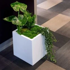 Block Essentials Planter - Matt White -Indoor Plant Store block planter essential matte white indoor plants cube