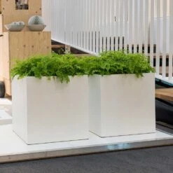 Block Essentials Planter - Matt White -Indoor Plant Store block planters essential matte white indoor ferns