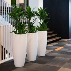 Dax Essentials Tall Planter - Matt White -Indoor Plant Store dax planter essential matte white open plan office