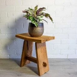 Mya Plant Pot - Deep Champagne -Indoor Plant Store mya deep champagne plant pot calathea fusion white