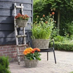 Paula Wikr Plant Baskets - Set Of 4 - Natural -Indoor Plant Store paula wicker plant baskets set of 4 natural lifestyle 001