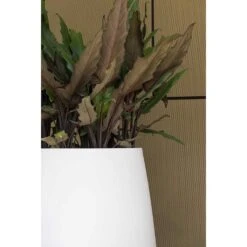 Pax Essentials Planter - Matt White -Indoor Plant Store pax planters essential matte white clos up