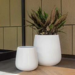 Pax Essentials Planter - Matt White -Indoor Plant Store pax planters essential matte white office plants