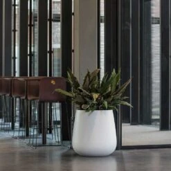 Pax Essentials Planter - Matt White -Indoor Plant Store pax planters essential matte white office reception plants