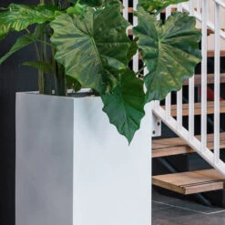 Bouvy Essentials Planter - Matt White 13 Bouvy Essentials Planter - Matt White -Indoor Plant Store pottery pots essential matte bouvy 7